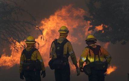 В США страховщики заявили о миллиардных убытках от лесных пожаров