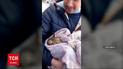 В Одессе спасли кошку, которая три дня в сильные морозы сидела на дереве