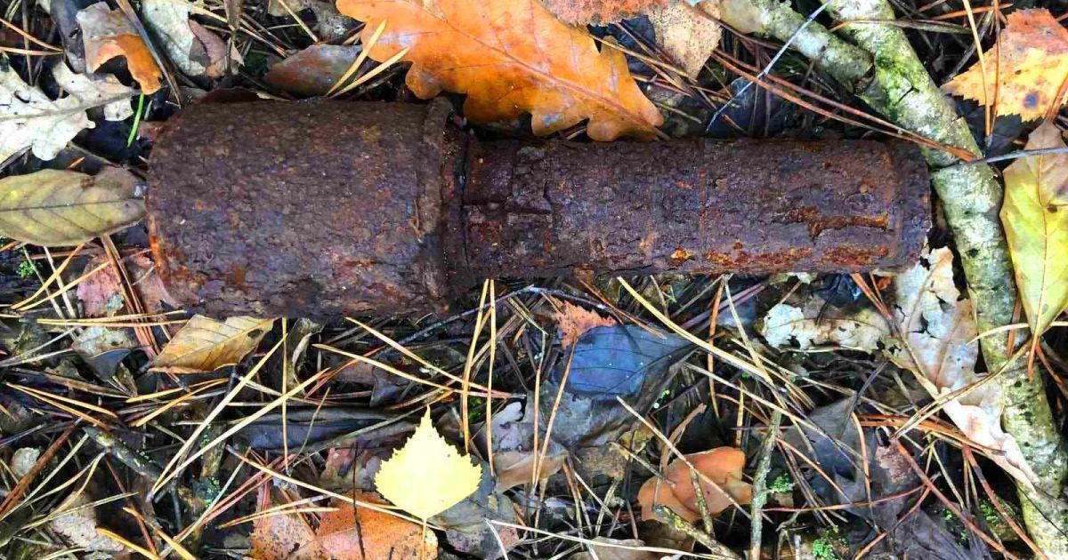 В Киевской области женщина, которая собирала в лесу грибы, наткнулась на опасную находку