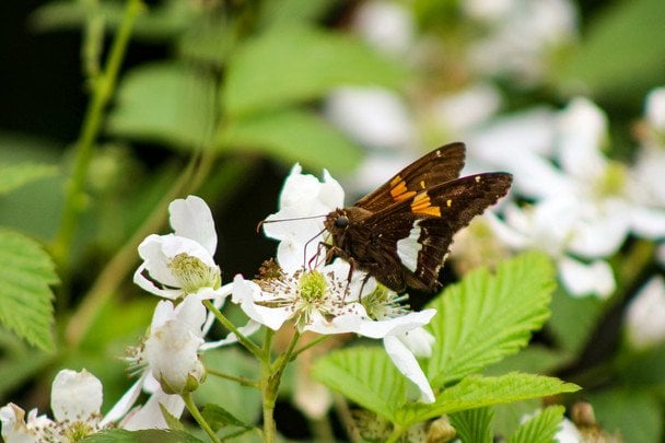 Народні прикмети 17 квітня / © unsplash.com