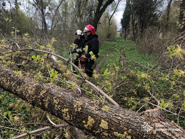 Смертельное ненастье в Украине / © ГСЧС Украины