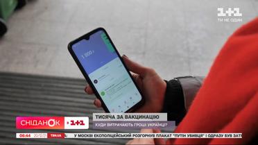 На що українці вже витрачають свою COVID-тисячу гривень