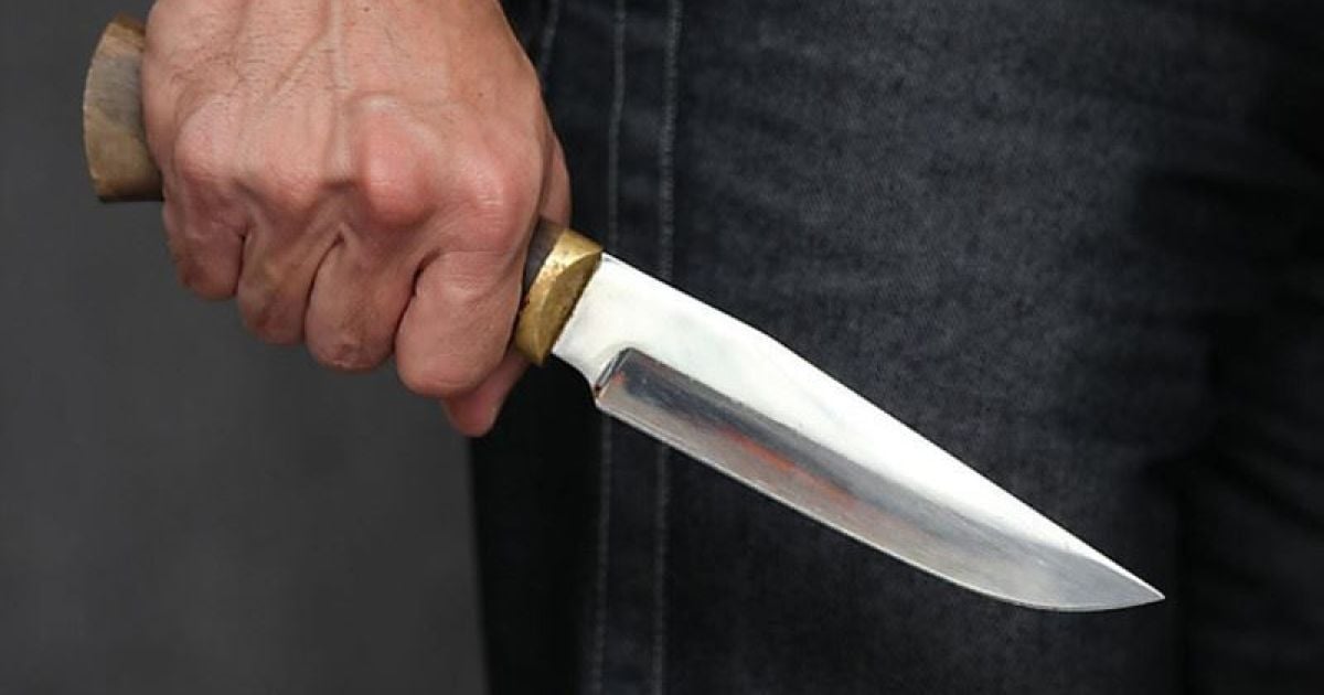 За жорстоке вбивство безпритульного собаки сумчанин отримав 6 місяців арешту
