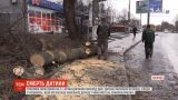 На 11-річну дівчинку у Вінниці впало дерево, дитина загинула