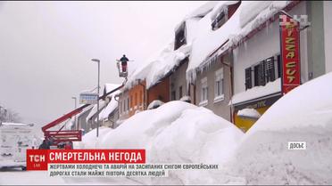 Жертвами холоднечі та заметілі у Європі стало майже півтора десятка людей