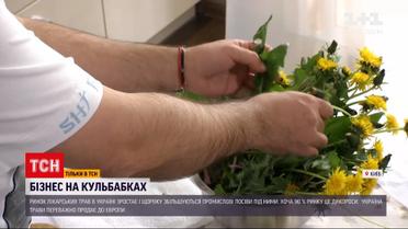 Новини України: що і на чому можна заробити, маючи власний шмат землі