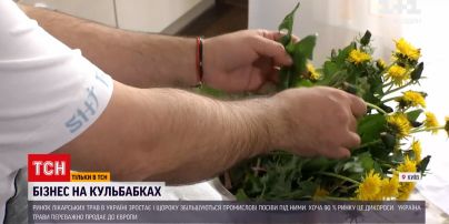 Новости Украины: что и на чем можно заработать, имея собственный кусок земли