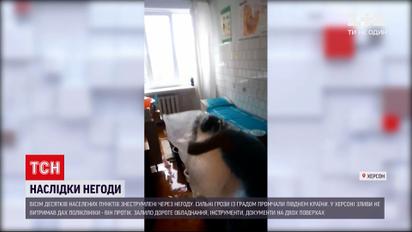 Новости Украины: восемь десятков населенных пунктов обесточены из-за непогоды