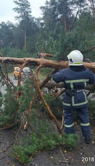 Вырванные деревья и изуродованные здания. Непогода в Украине будет только усиливаться