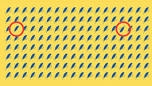  / © Фото з відкритих джерел