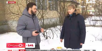 Допомога пернатим: чим годувати птахів узимку