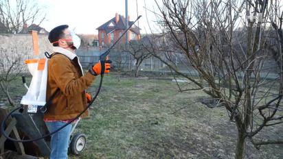 Захист садових дерев від шкідників - Весна на дачі зі Stihl