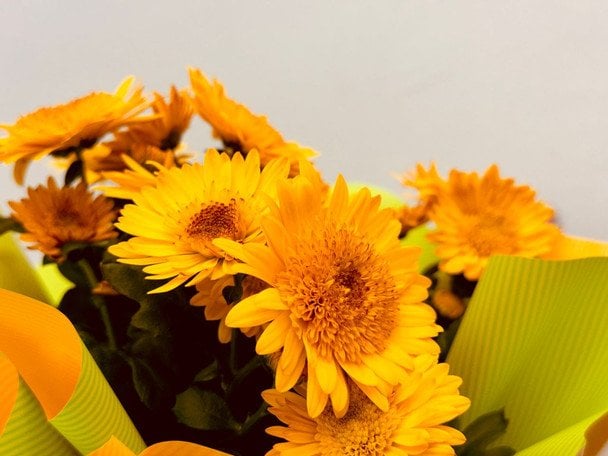 День ангела 8 жовтня — душевні привітання в прозі / © pexels.com
