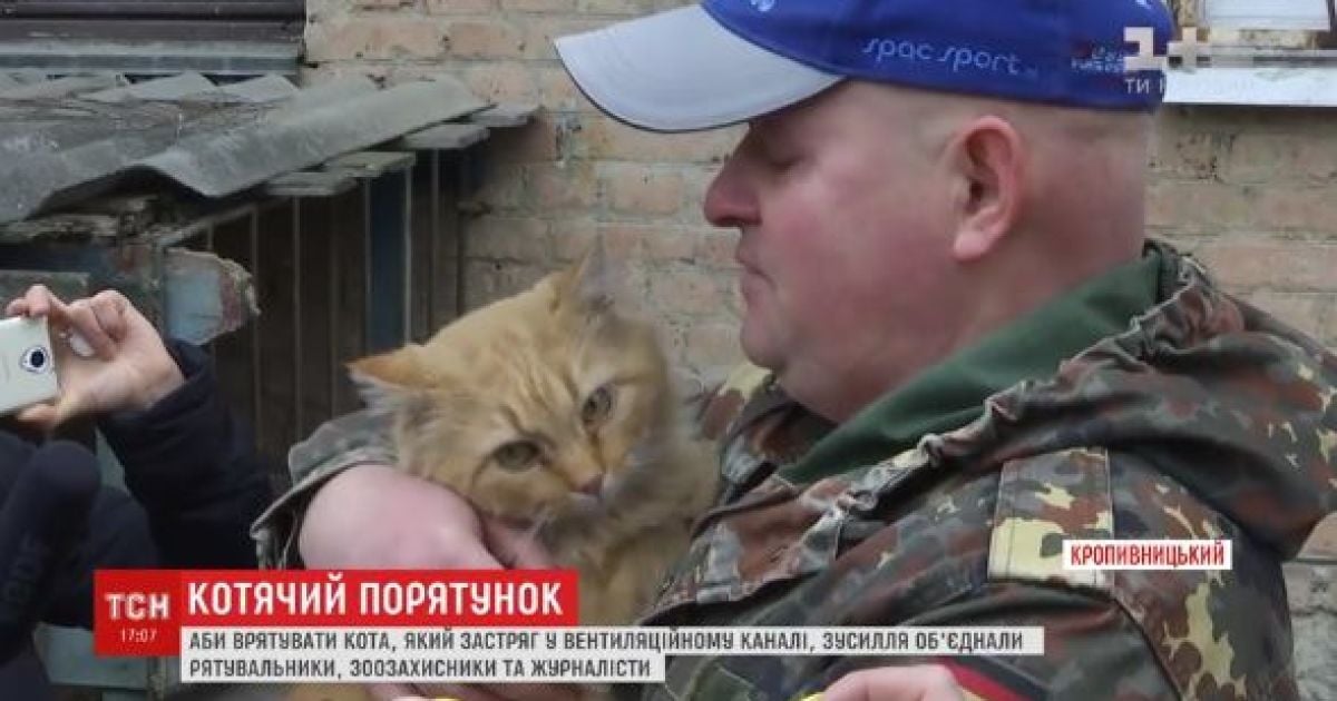 У Кропивницькому майже два тижні рятували кота, який застряг у вентиляції
