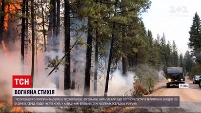 Новини світу: у Сполучених Штатах полум'я вже знищило більше 160 тисяч гектарів насаджень