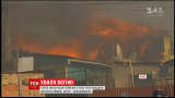 У Чилі оголошено найвищий рівень загрози через пожежу