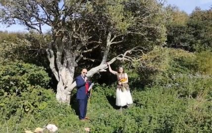 Британка вышла замуж за дерево и изменит фамилию на его название