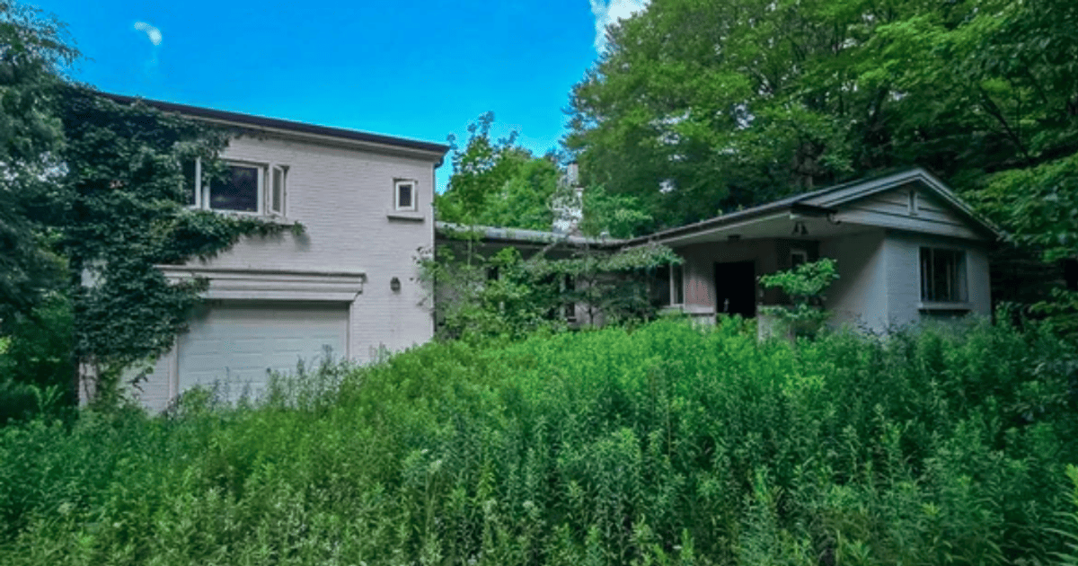 Покинутий будинок у лісі