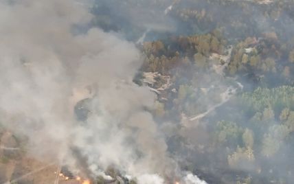 Вблизи Чернигова загорелся лес на территории военного полигона