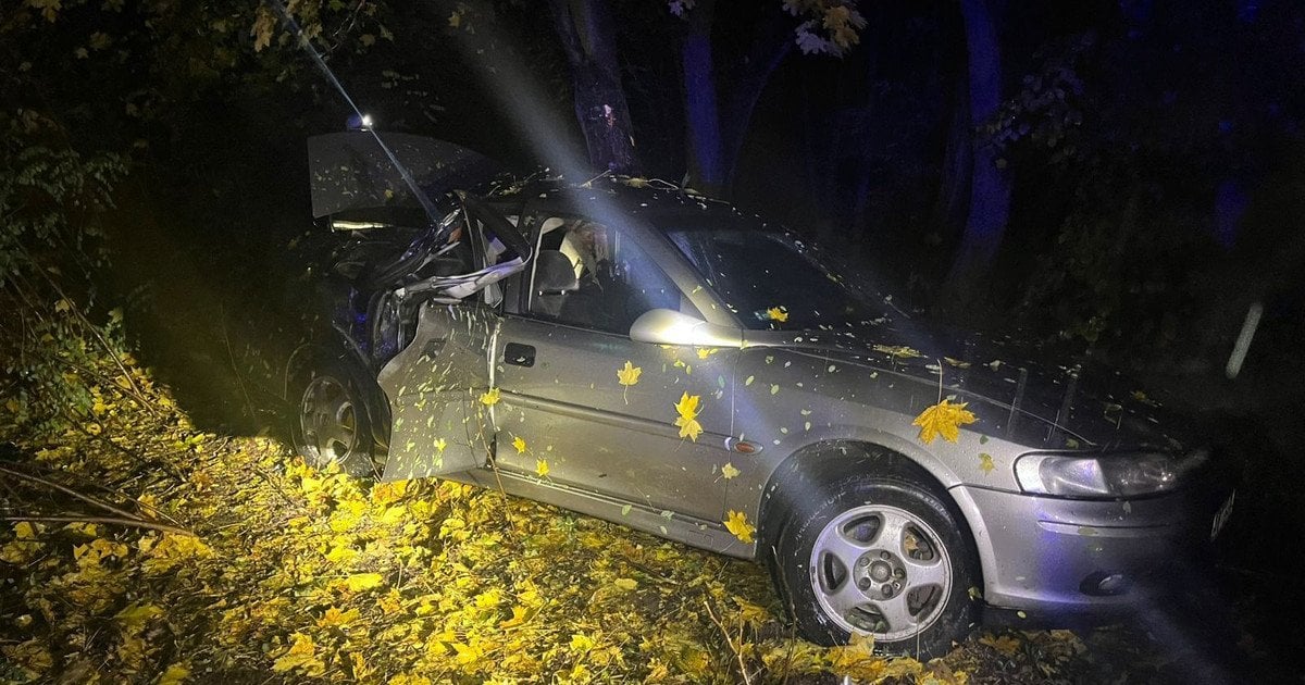 Поліцейські Київщини розслідують обставини аварії у Бучанському районі