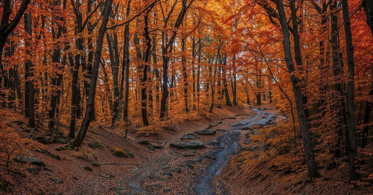 Завтра будет тепло