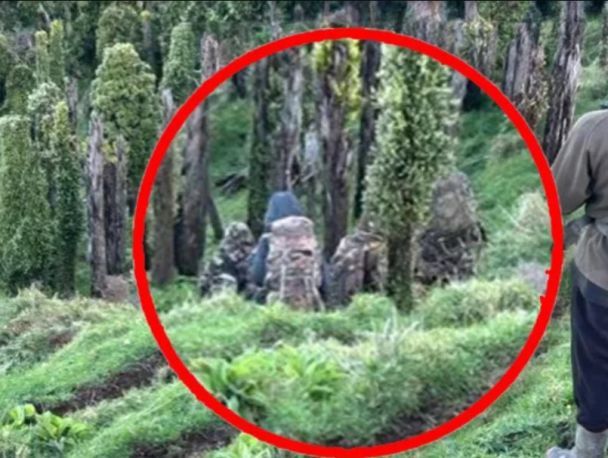 Том Филипс с детьми / Фото: TVNZ