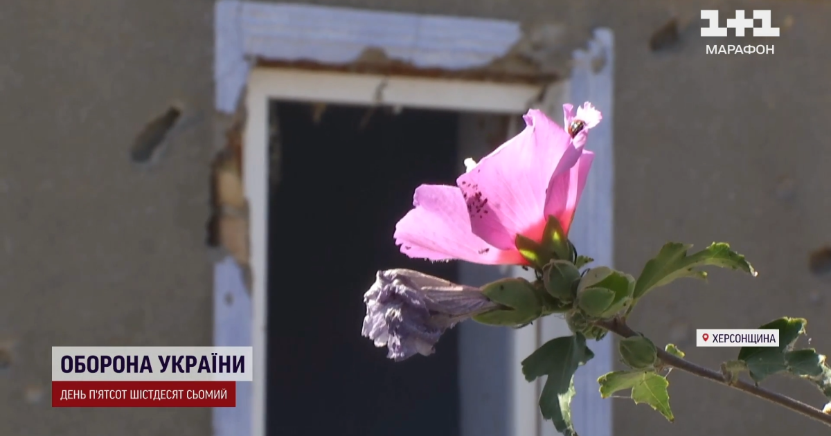 Как восстанавливается деоккупированная Александровка в Херсонской области