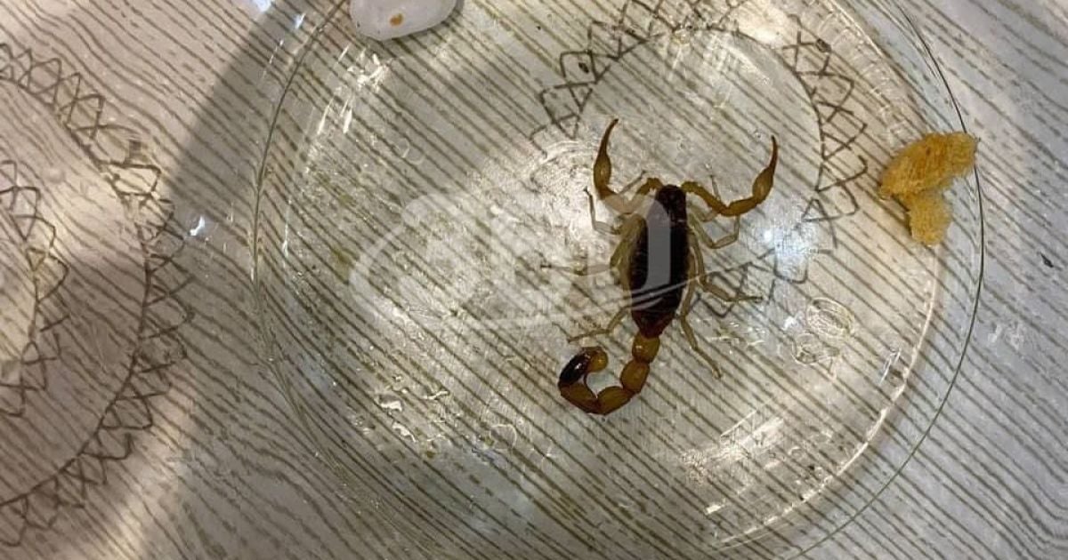 Фото: t.me/tv360