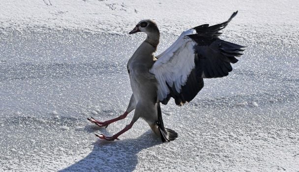  / © Associated Press