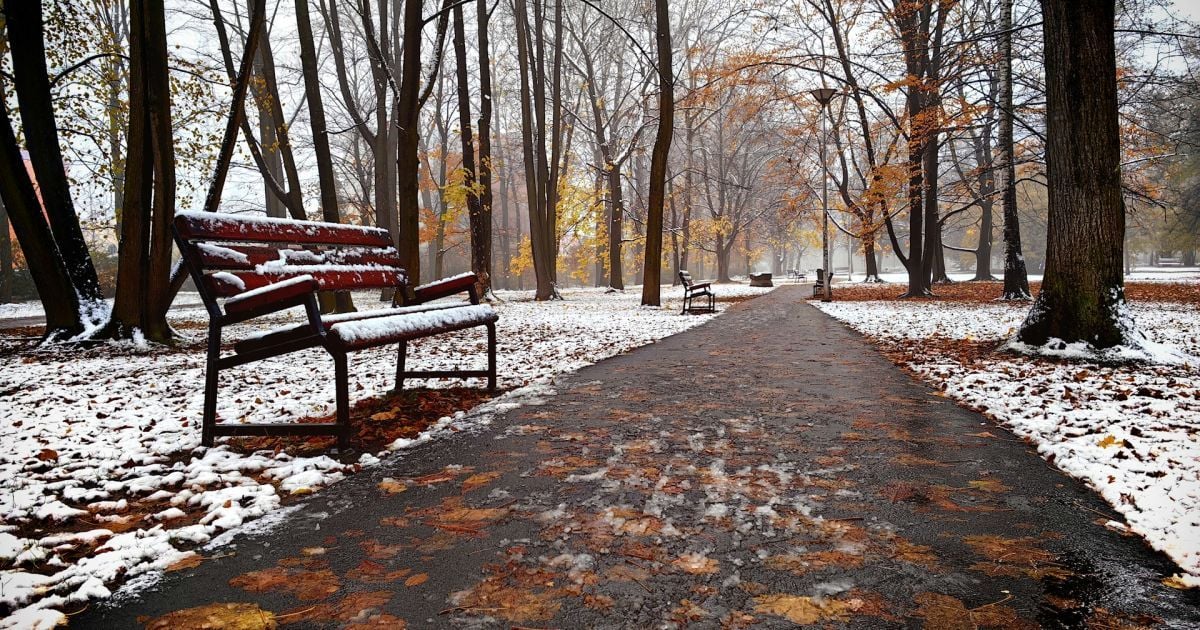 Погода в Украине на 15 ноября