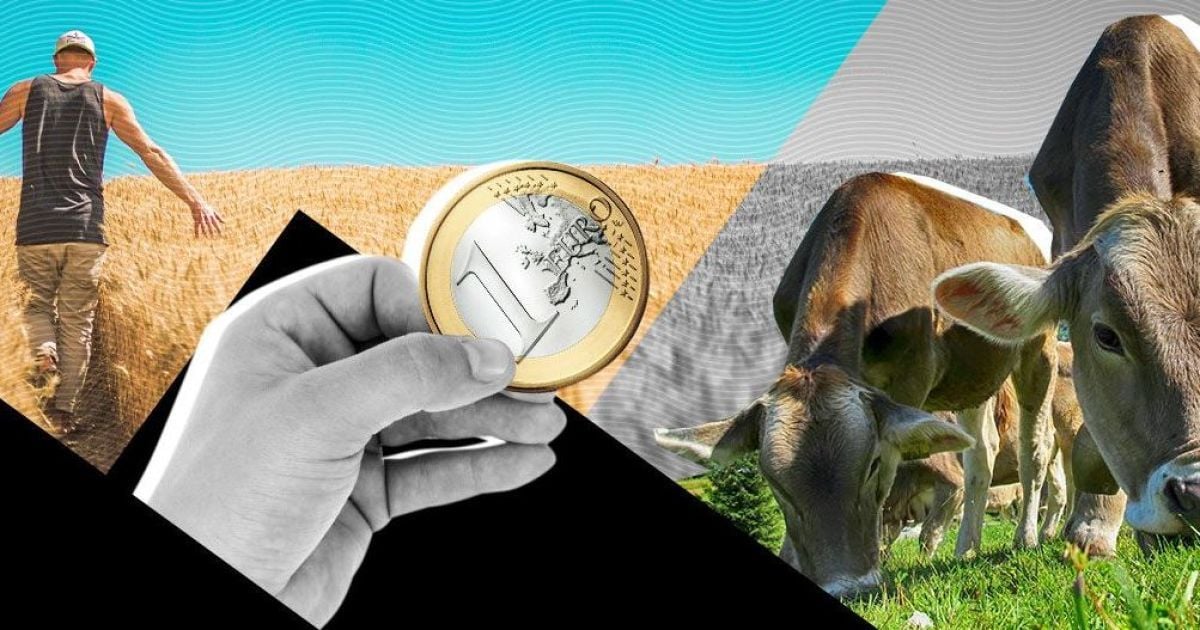 Тысячи жителей Финляндии получали деньги "просто так": спецпроект ТСН выяснил, помог ли эксперимент разбогатеть людям