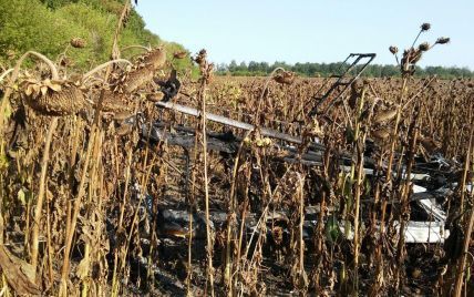 В Сумской области упал легкомоторный самолет: погиб пилот