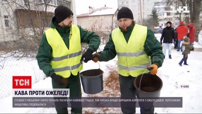 Во Львове тропинки в парке посыпают кофейной гущей