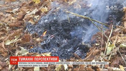 Екологи радять не палити опале листя: чи готові українці відмовитись від шкідливої традиції