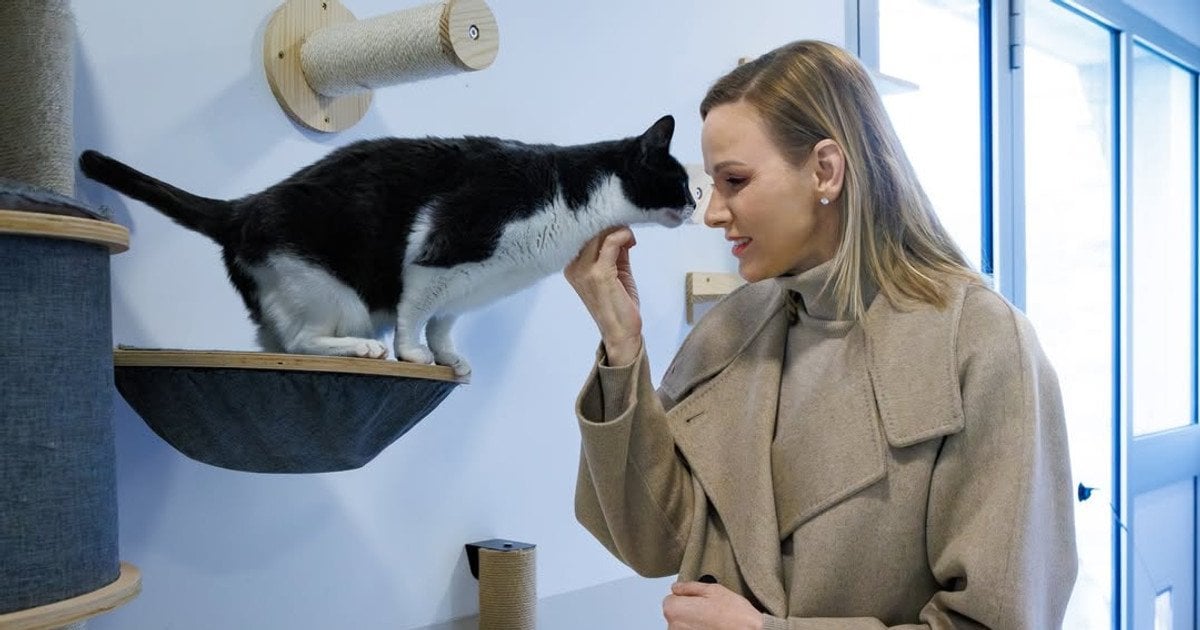 Княгиня Шарлин