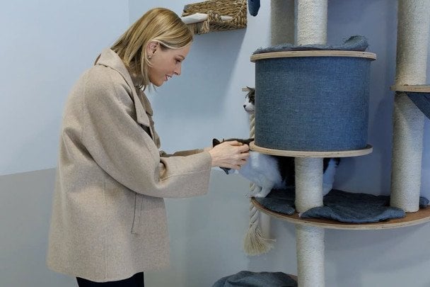 Княгиня Шарлин