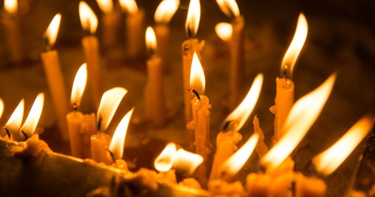 Вспышка птичьего гриппа в Китае и смерть майдановца. Пять новостей, которые вы могли проспать