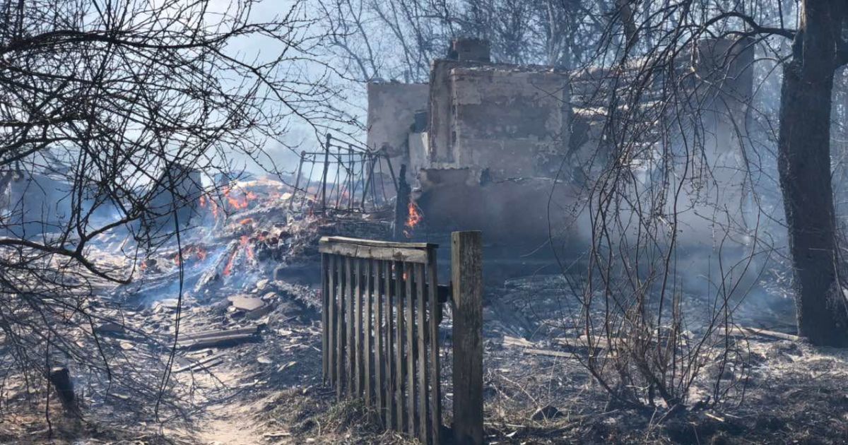 Из-за поджигателей травы в житомирской области горели десятки домов - новости украины