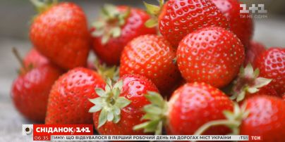 Сезон клубники: сколько стоит первая ягода и как выбрать самую вкусную