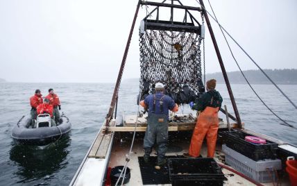 У Чилі рибалки впіймали монстра (фото)