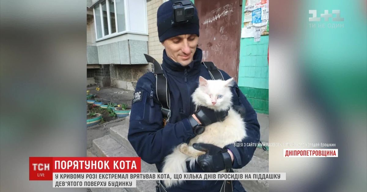 У Кривому Розі відчайдух спустився з даху будинку заради порятунку кота