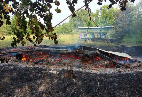 У пожежі в Полтавській області згоріли десятки вуликів із бджолами (фото)