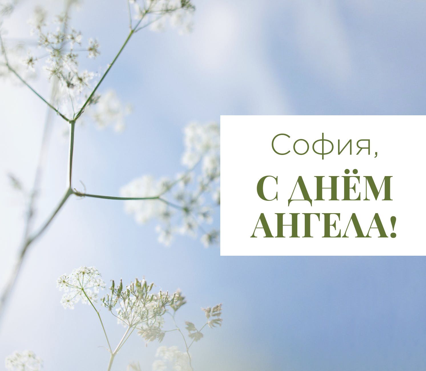 Именины Софии по православному календарю: какого числа, значение имени