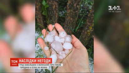 Град величиной с грецкий орех побил урожай в селах на Волыни