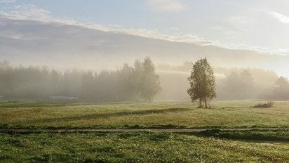 Синоптики розповіли, якою буде погода в Україні 24 червня