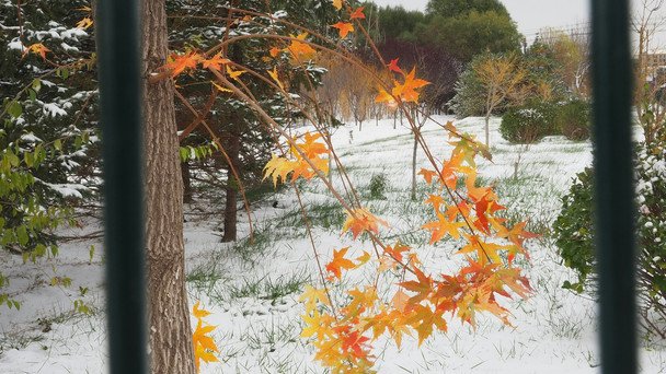 Народные приметы 27 ноября / © unsplash.com