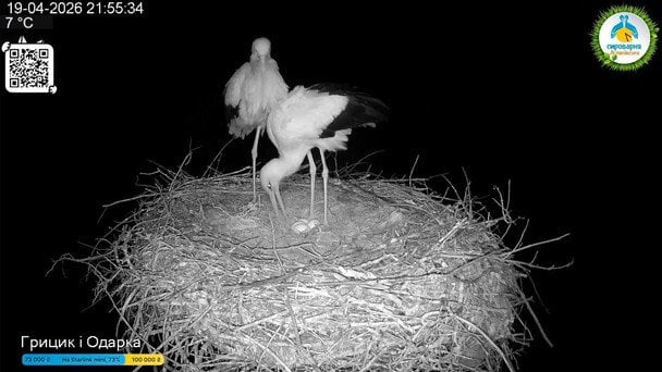  / © фото з соцмереж