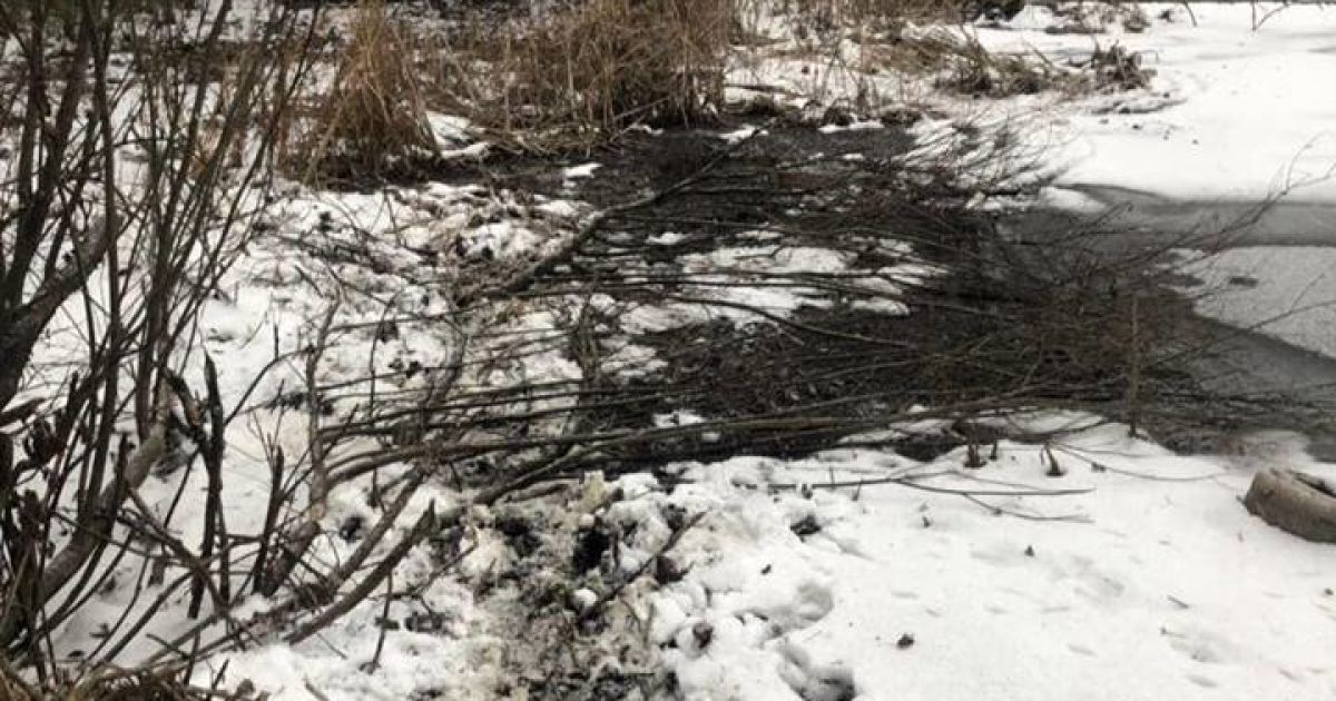 В Киеве провалилась под лед и утонула женщина