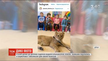 Фото з левеням: у Білій Церкві до дитсадків привели маленького хижака