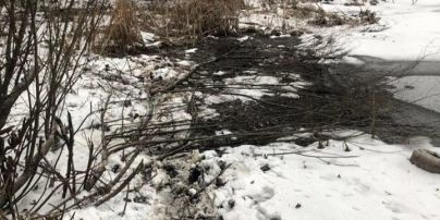 В Киеве провалилась под лед и утонула женщина